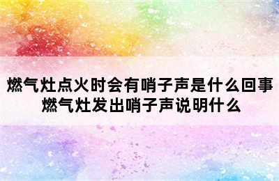 燃气灶点火时会有哨子声是什么回事 燃气灶发出哨子声说明什么